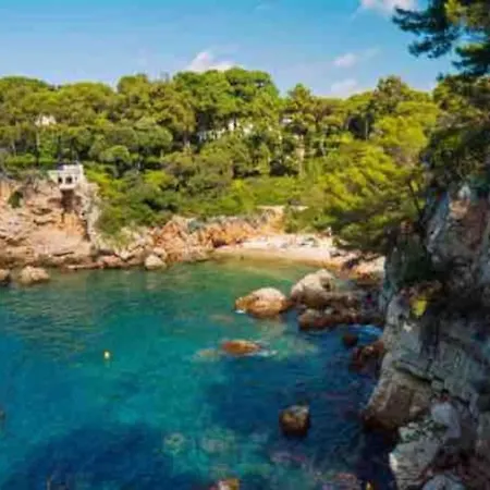 Beautiful 5 Bedroom With Direct Sea View Antibes